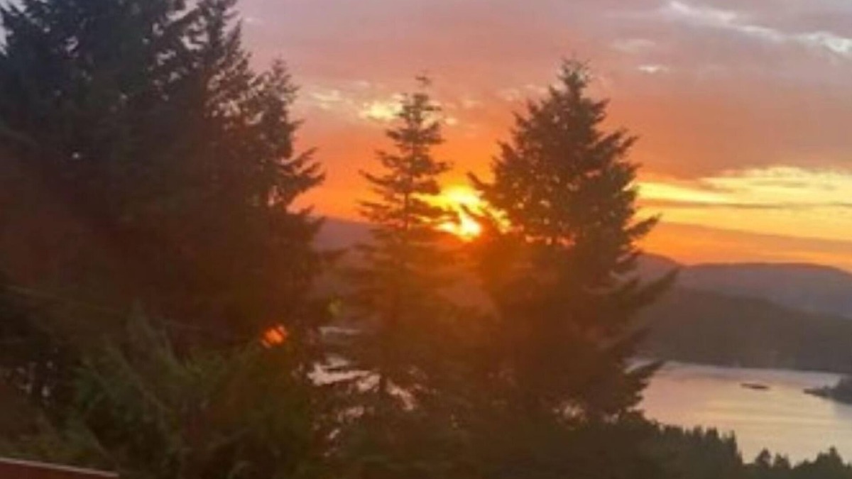 Salt Spring Island Apartment | Spectacular Views Await You At The Treetops Suite.