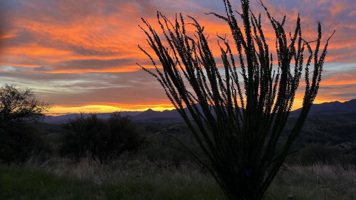 Nogales House | spectacular sunsets and 360 degree views