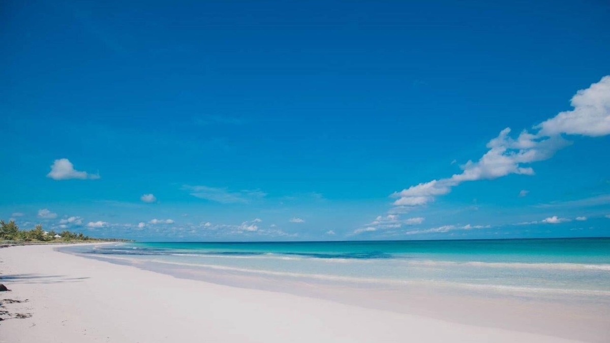 Savannah Sound Apartment | Spectacular views of the world famous Windermere beach