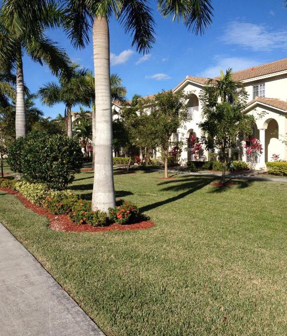 Naranja House | Speedway Blvd Townhouse