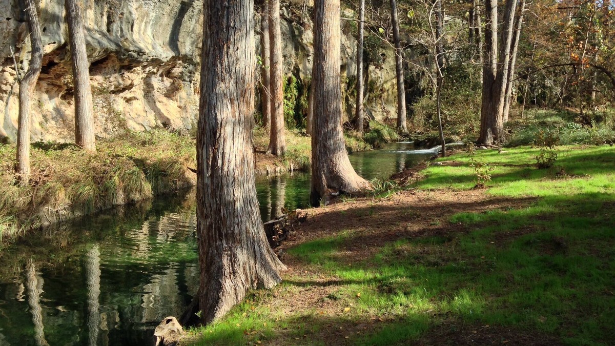 Pedernales Canyon Ranch House | Spicewood’s Best Getaway for Fall with a Natural Spring Swimming Hole!