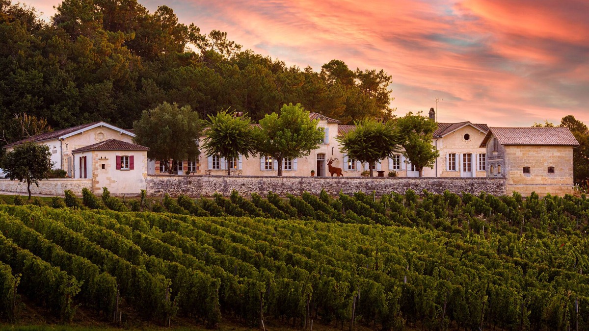 Samonac Other | Splendid chartreuse in the heart of its vineyards