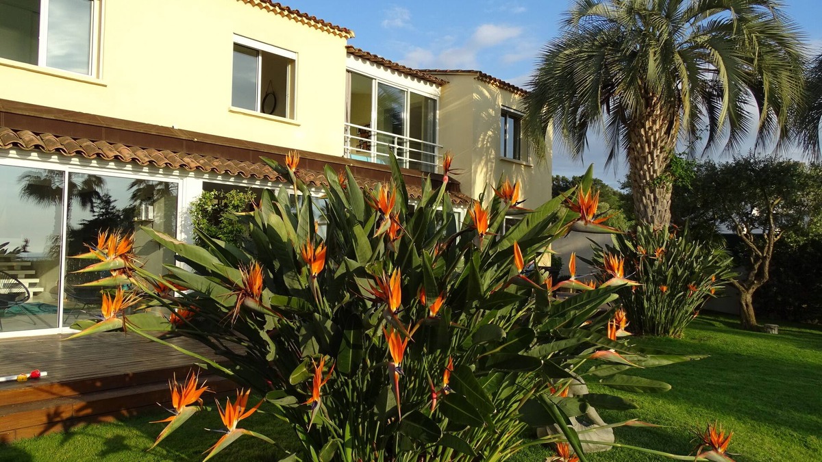 Grosseto-Prugna House | Splendid estate with 3 villas with sea and pool views in Porticcio