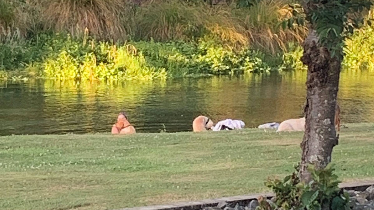 Blenheim Apartment | Springcreek studio apartment