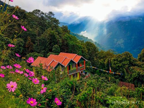 Lebong and Mineral Spring Tea Garden House | Springfeel Homestay