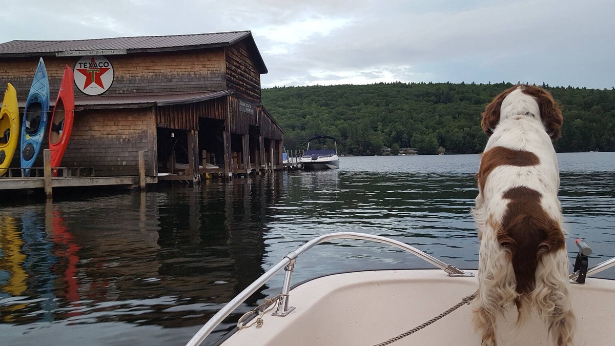 Holderness House | Squam Lake Waterfront home. You can't get any closer to the water!