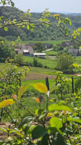 Vojnic Apartment | Srce Petrove gore