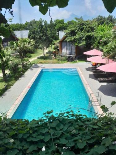 Ba Vi House | ST Homestay Tản Lĩnh - Venuestay