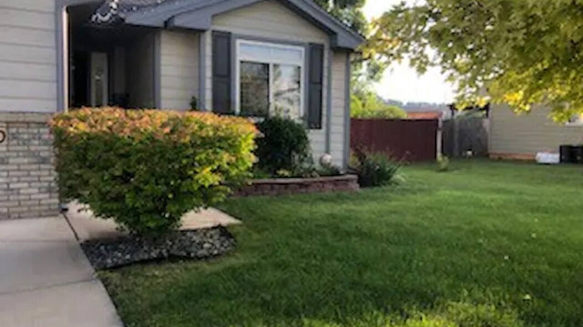 Piedmont House | Star of the Neighborhood