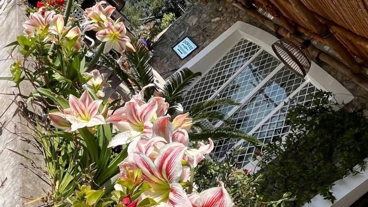 San Cosma Villa | 🇮🇹 Starfish-House 🇮🇹 🍋Your house in Amalfi coast 🍋🌶️🍦👨🍳🦑🌊🍝🍕⛵️⛱🪂🍊🍉