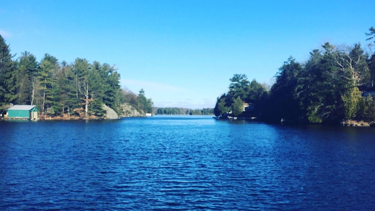 Leeds and the Thousand Islands Cabin | Starlight Cabin on Charleston Lake