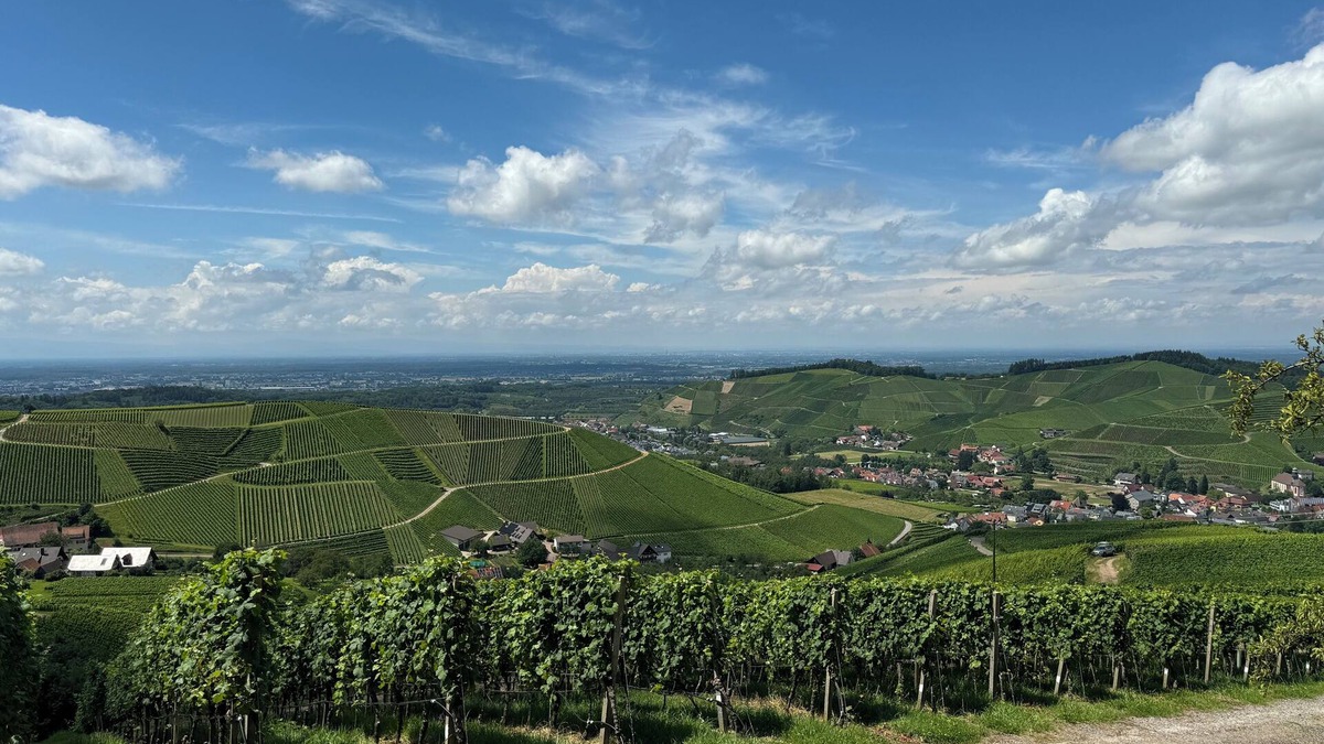 Durbach Apartment | Staufenbergblick Durbach