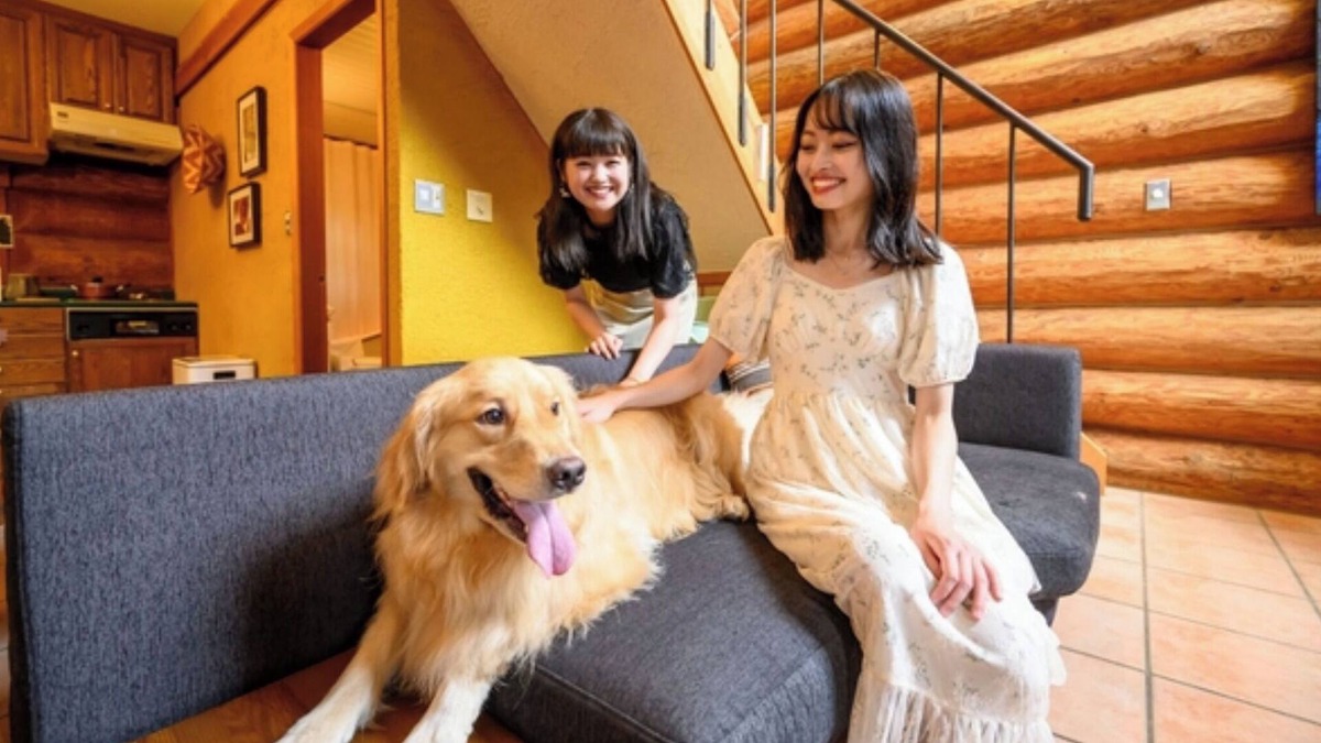 Shima Hotel | Staying with pets 4 beds Pet fee 2000 yen per /Shima Mie