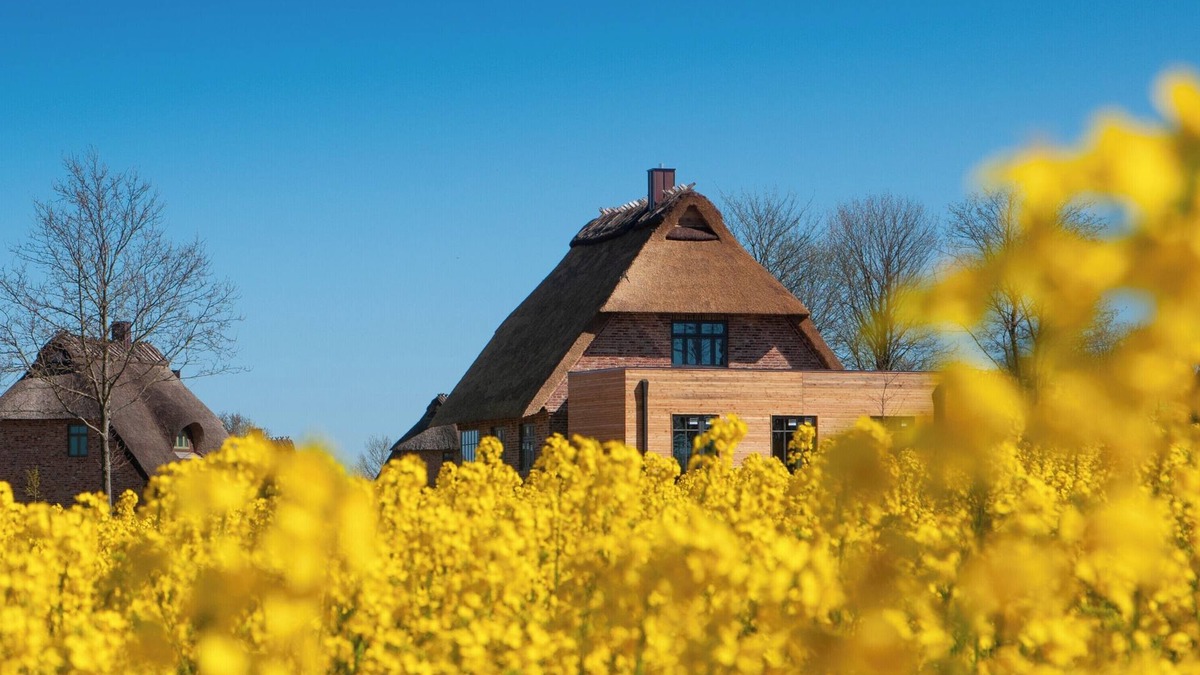 Nieby House | Steilküste, das Atelierhaus Unter Reet für bis zu 8 Personen&direktem Seeblick