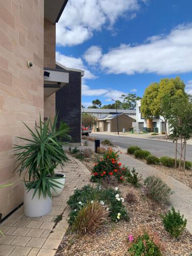 Woodville West House | Stellar Suite