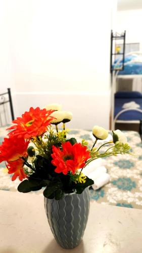 Vasto Apartment | Stellina in centro Sweet Apartaments