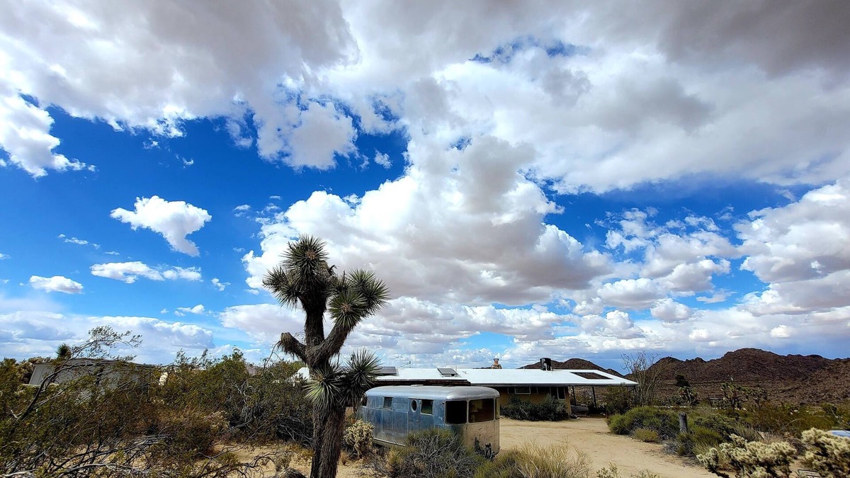 Joshua Tree Highlands House | Stephs Panorama Paradise:7.5 acres of wildlife viewing peace. Minutes from Park