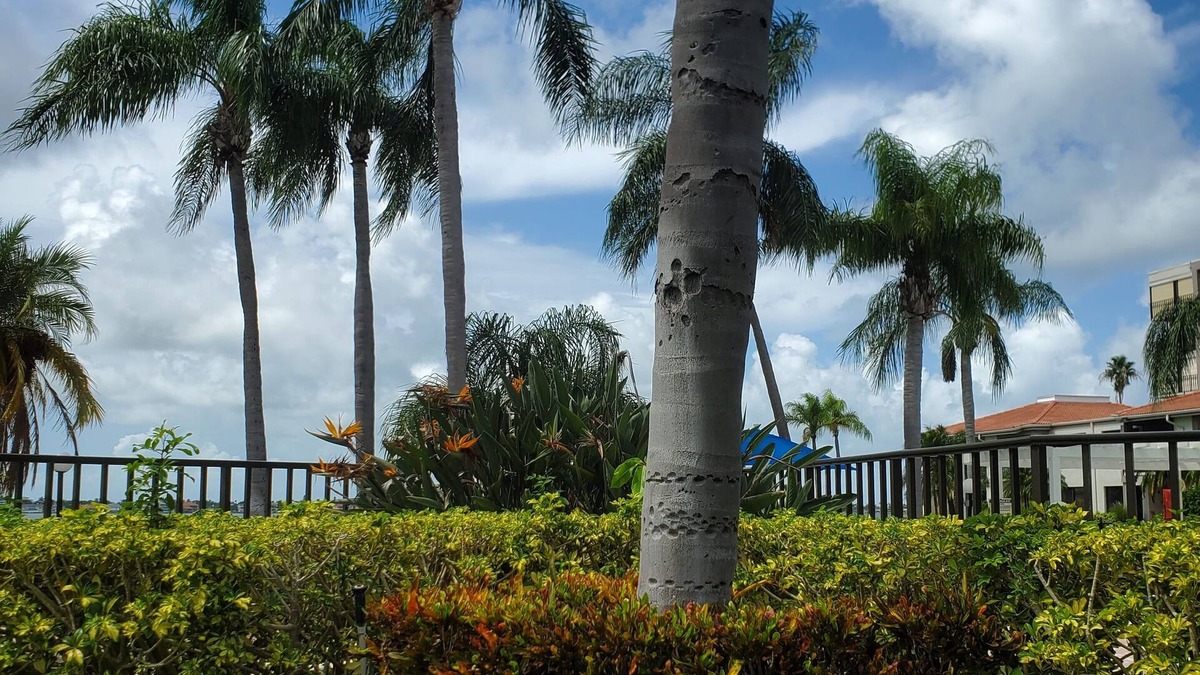 Isla del Sol Condo | Steps away from the pool with Ultimate water views!