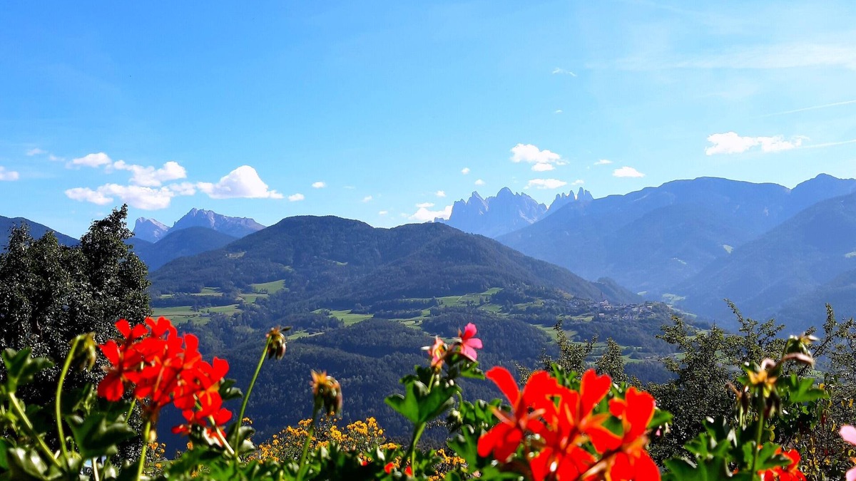 Chiusa Apartment | Stieberhof Feldthurns - Holiday apartment with mountain view - Alpaca hike