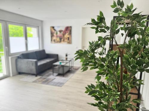 Sandhausen Apartment | Stilvolle Wohnung in Sandhausen