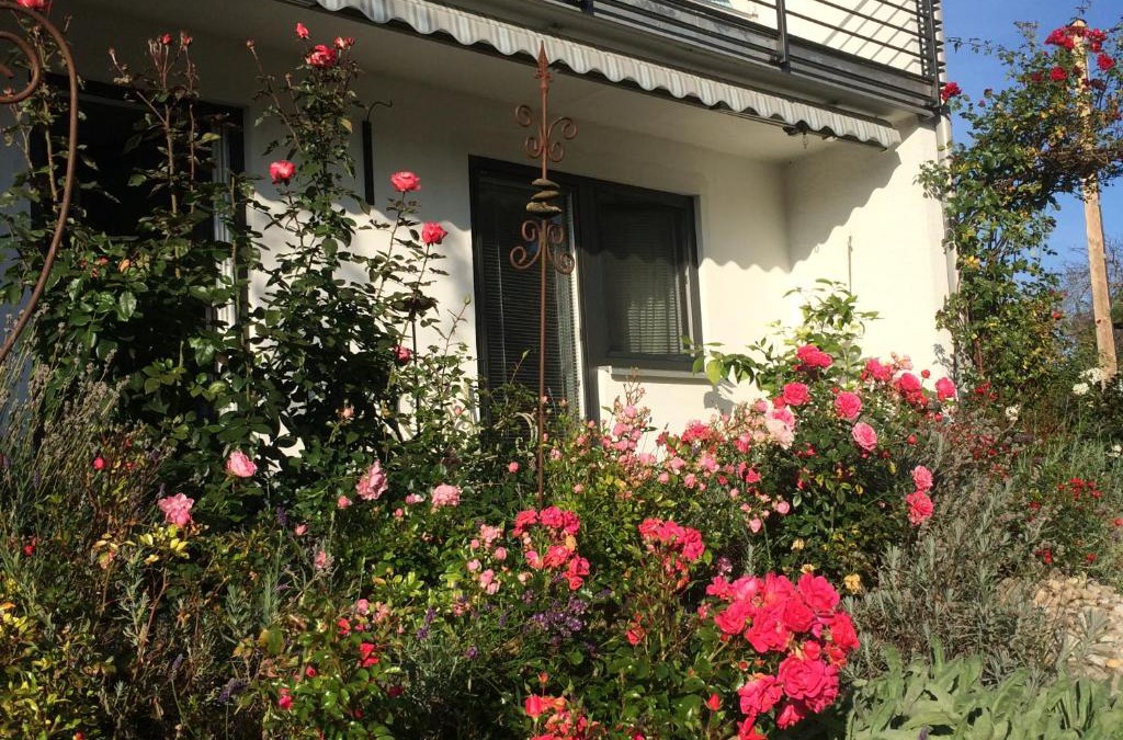 Rettenbach a.Auerberg Apartment | Stilvolles Studio im Allgäu