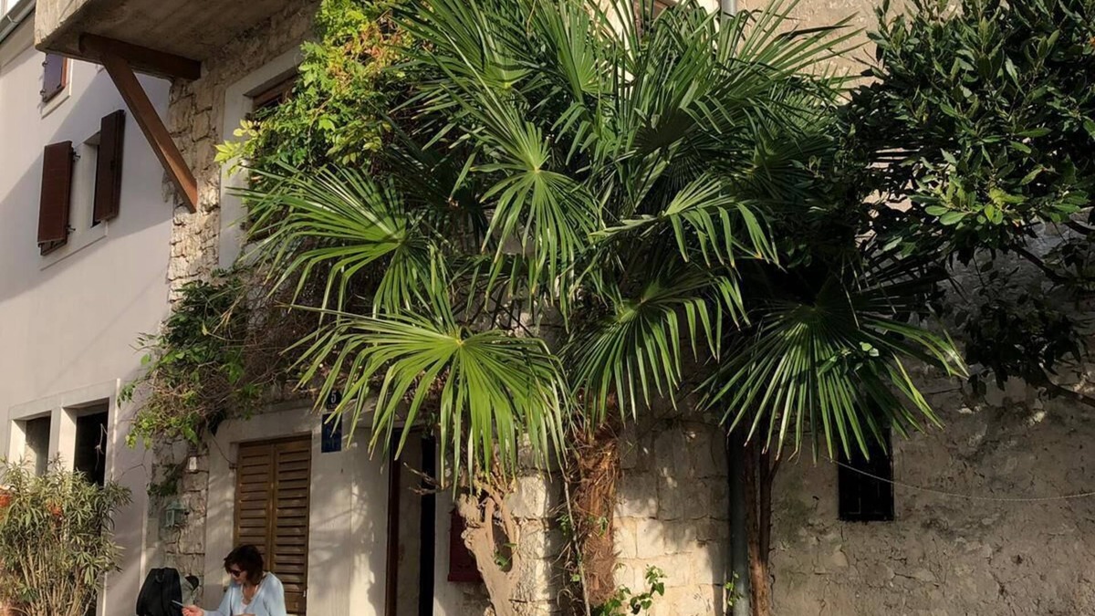 Vrsar House | Stone house with sea view