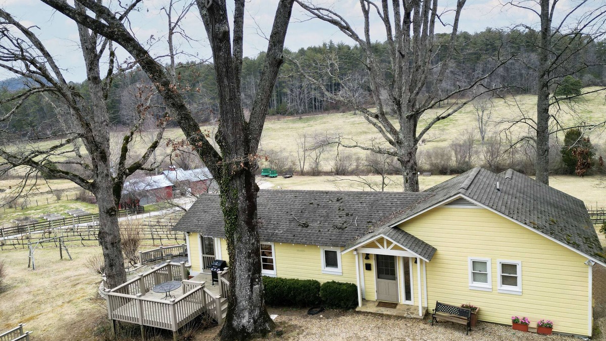 Tiger Cottage | Stonewall Creek Vineyards- Ruthie's Yellow House