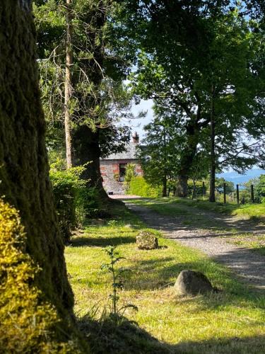 Alexandria Cabin | Stoneymollan over Loch Lomond