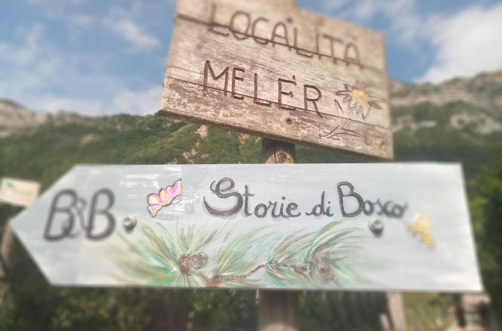 Villa Lagarina Bed & Breakfast | Storie di bosco