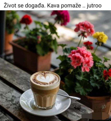 Ogulin Apartment | Studio apartman SALOPEK 2