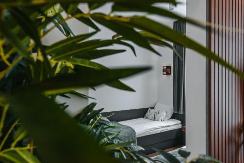 Ivanic-Grad Apartment | Studio apartmani Albero