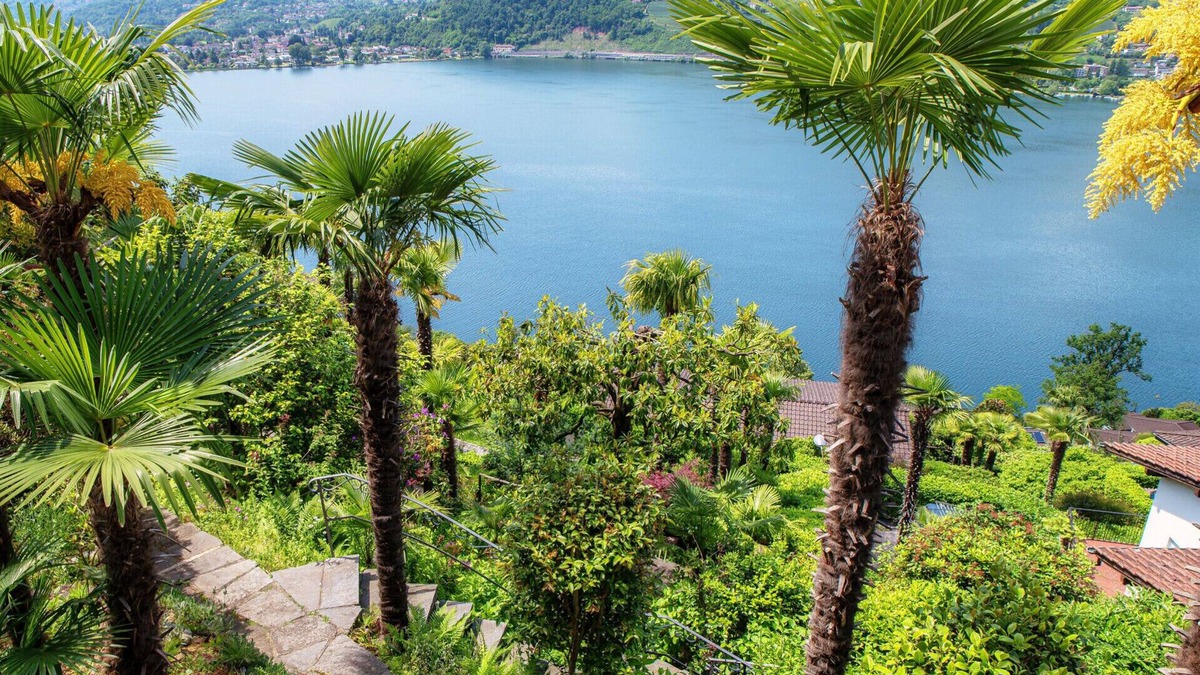 Montagnola Apartment | Studio apartment with lakeview terrace (LA PALMA 3)