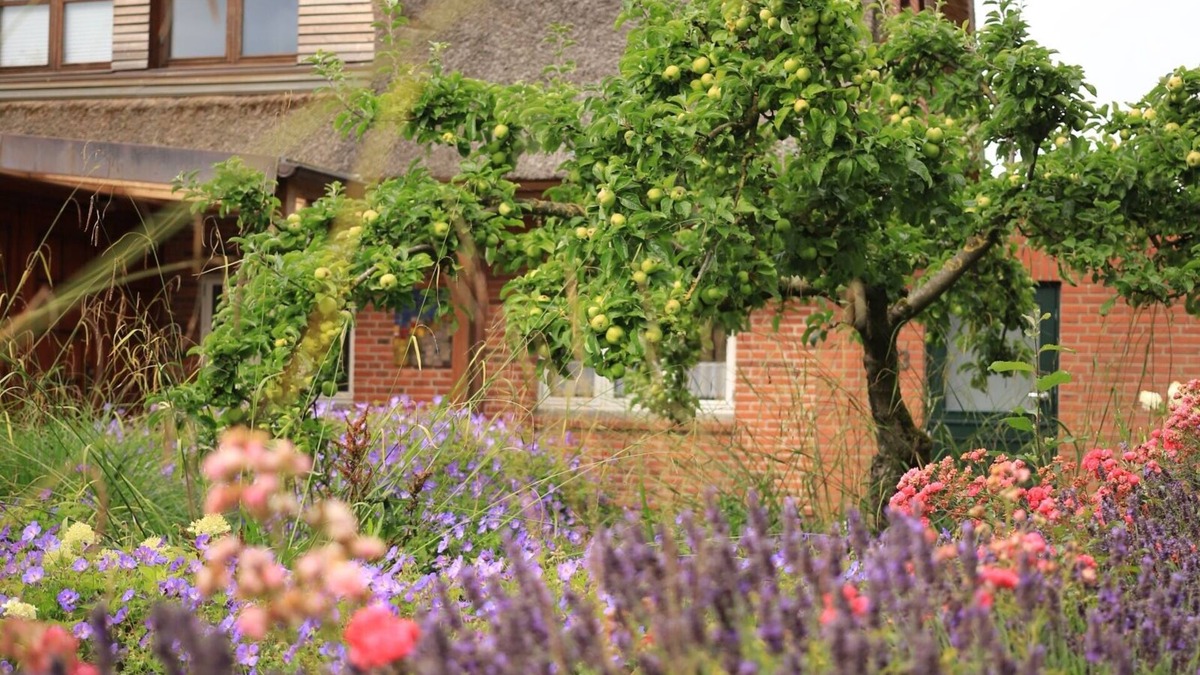 Hellert Apartment | Studio Apartment 'Lüttdeel' with Private Terrace, Private Garden and Wi-Fi