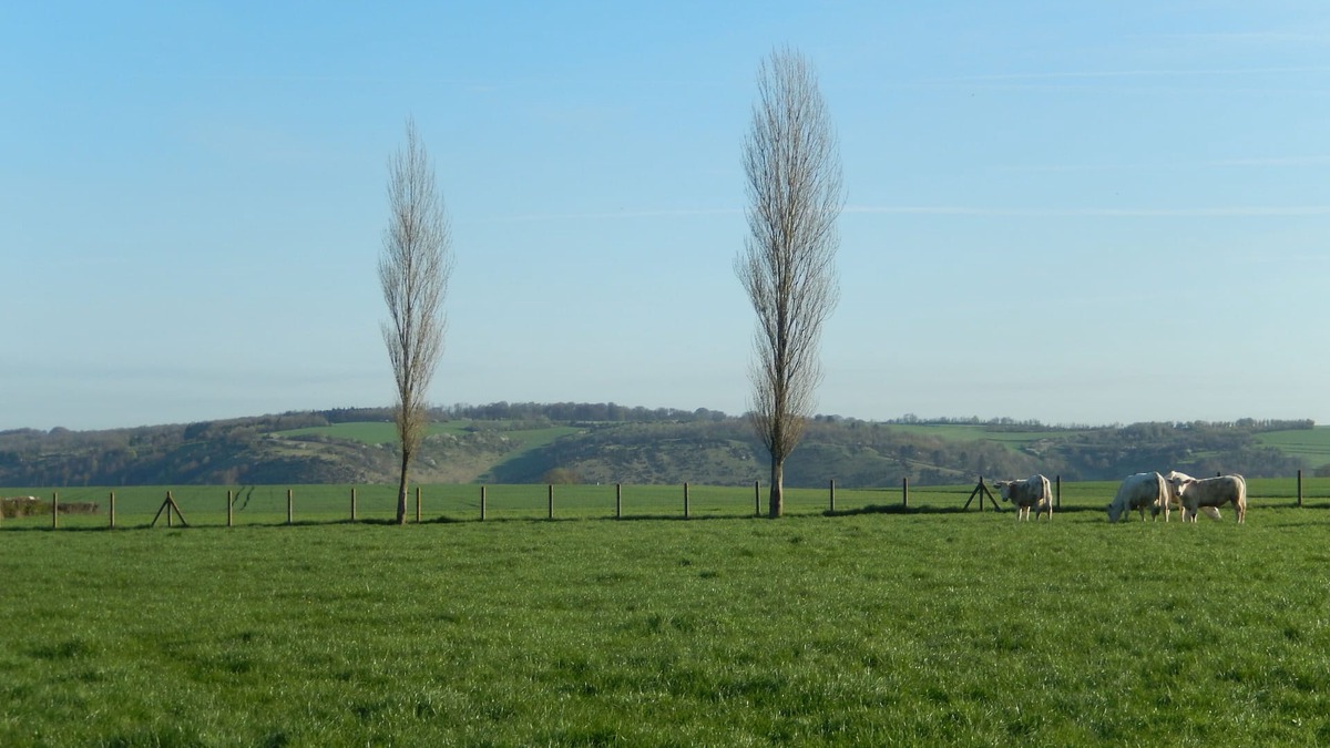 Wavrans-sur-l'Aa Apartment | STUDIO Appart gite Petite Halte,. work, vacation.
