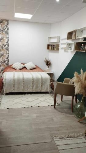Chazelles-sur-Lyon Bed & Breakfast | Studio Chambre double RDC