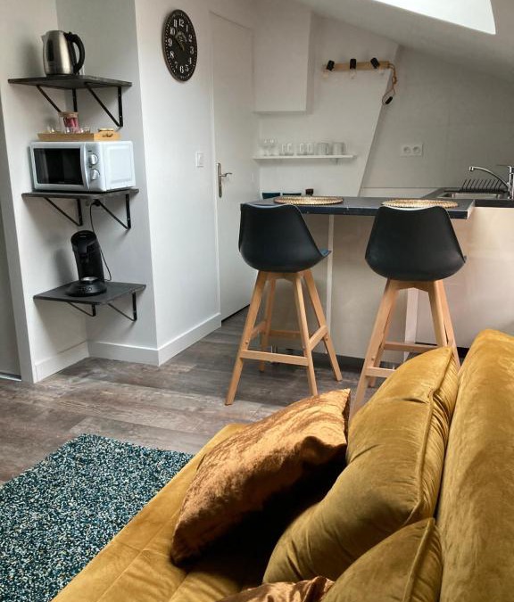 Moliere Vauban Apartment | Studio cocooning et refait à neuf. Lyon 06