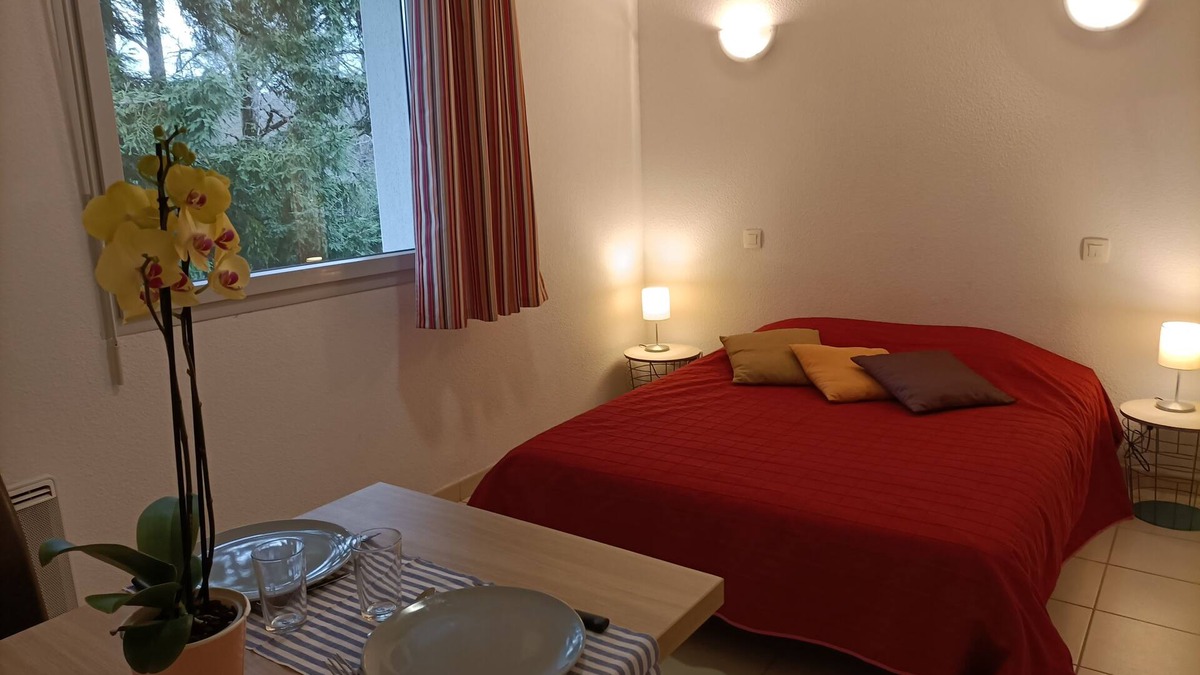 Salies-de-Bearn Apartment | Studio Dans Résidence Avec Piscine B29