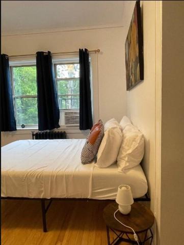 East Avenue Apartment | Studio Downtownhighfallskitchentvunitypet