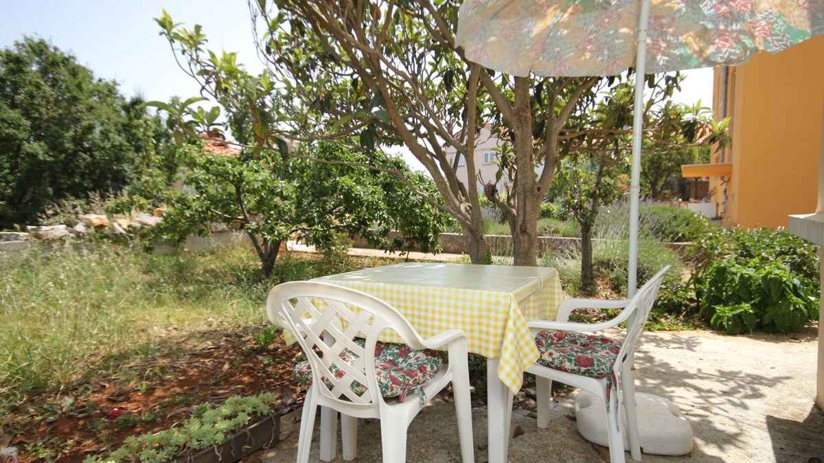 Bozava Apartment | Studio flat with terrace Božava, Dugi otok (AS-8108-b)