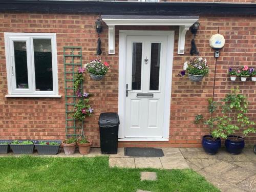 Belmont Apartment | Studio