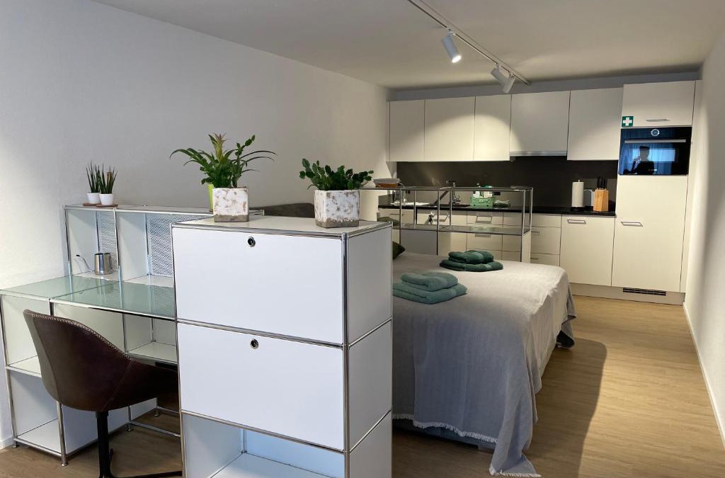 Uster District Apartment | Studio Gocki