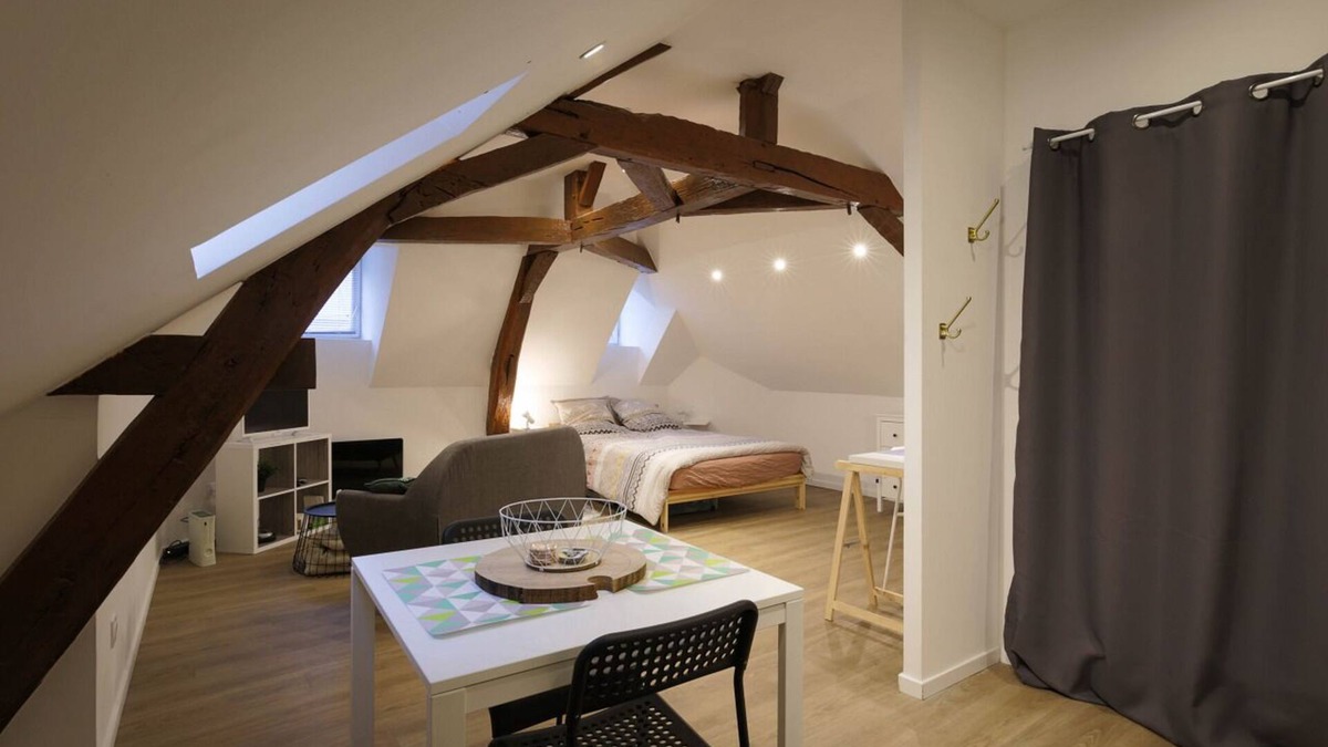 La Fleche Apartment | Studio Hyper center Emeraude ★ ZOO ★ 24h du Mans