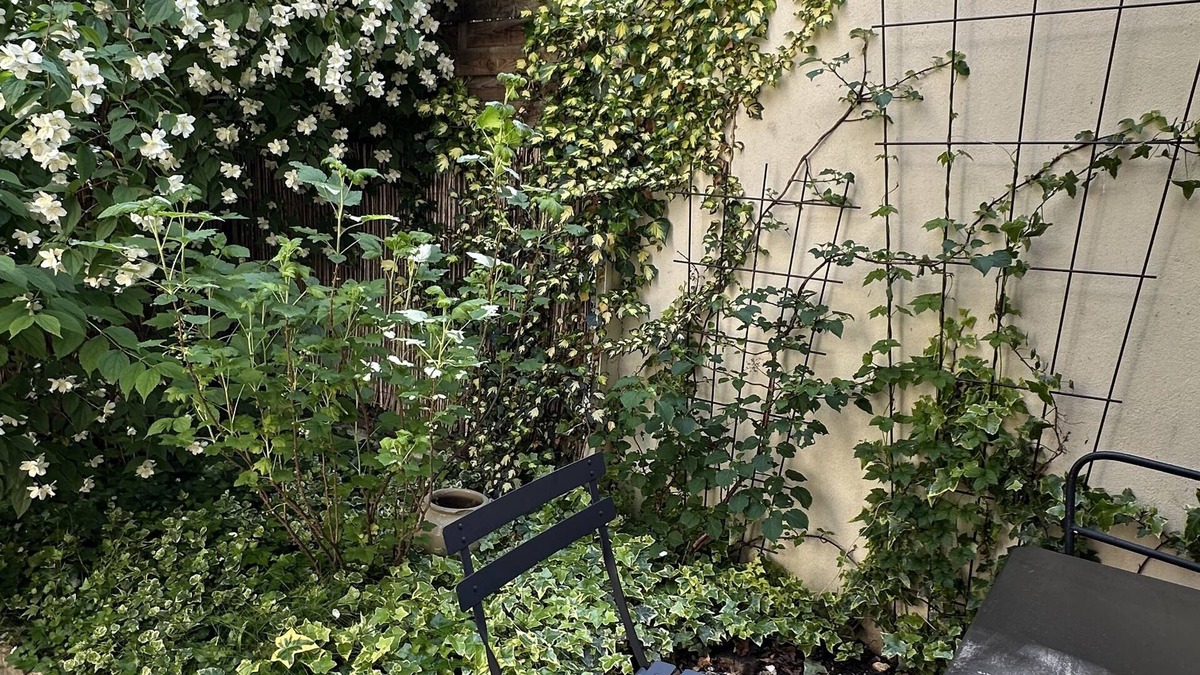 Quartier de Becon Apartment | Studio Indépendant Dans la Verdure à Courbevoie