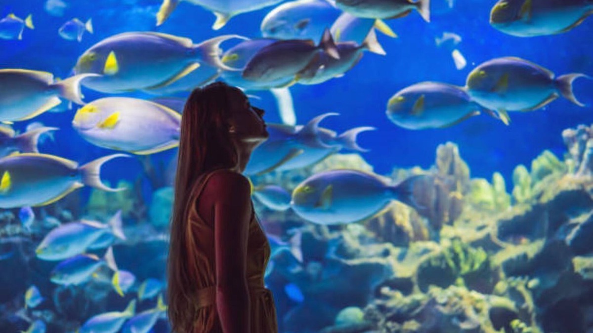 Al Barsha 1 Apartment | Studio near Mashreq Metro Al Barsha