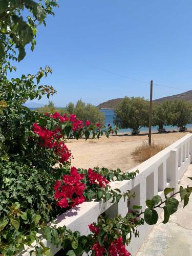 Livadi House | Studio on the beach, Leivadakia, Serifos