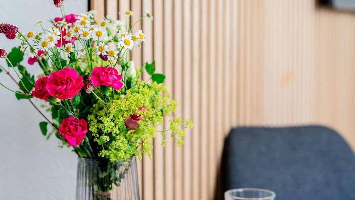 Nordstadt Apartment | Studio "S17 Bude 30"