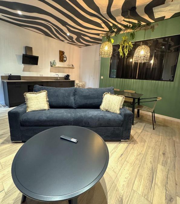 Seigy Apartment | Studio Savane, 6 min du Zoo