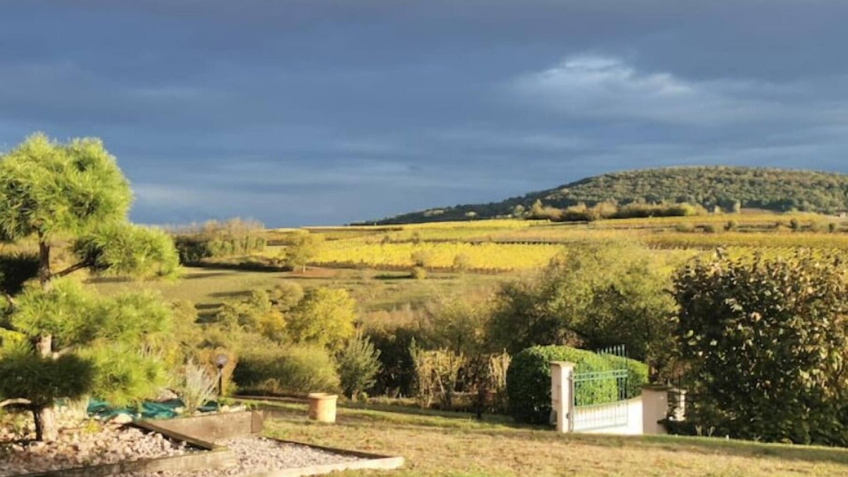 Rosheim Apartment | Studio Spacieux, Route des Vins