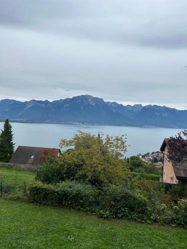 Chernex Apartment | studio with amazing view