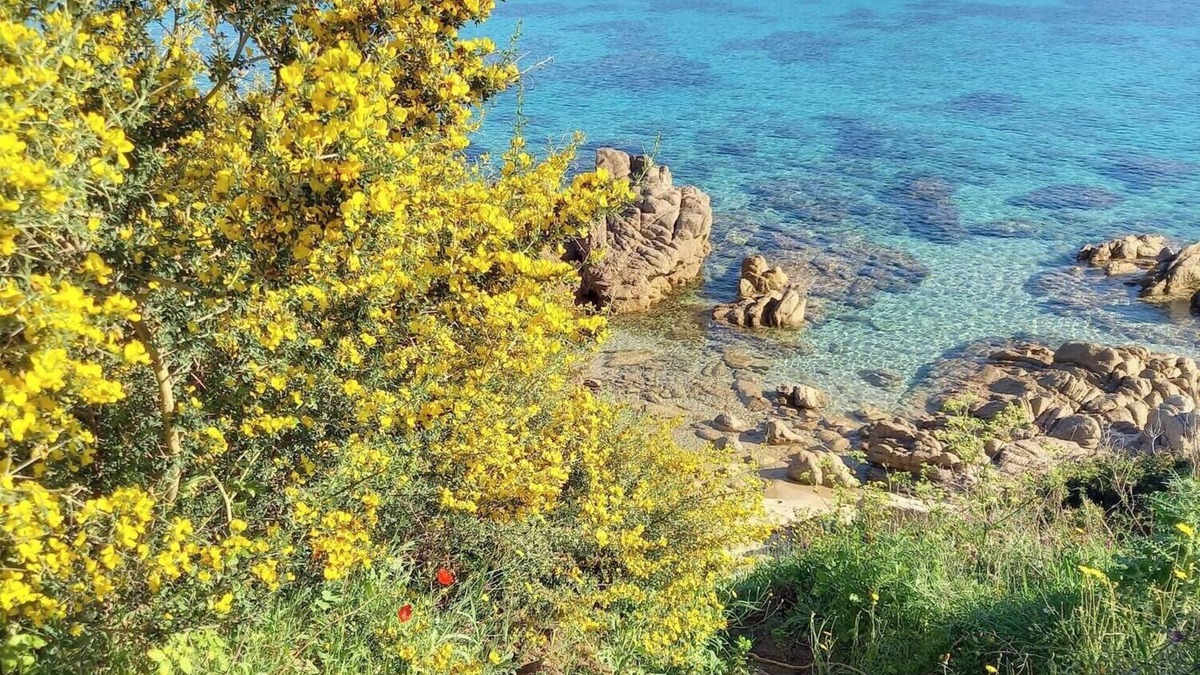 Propriano Apartment | Studio with sea view and parking 2 steps from downtown